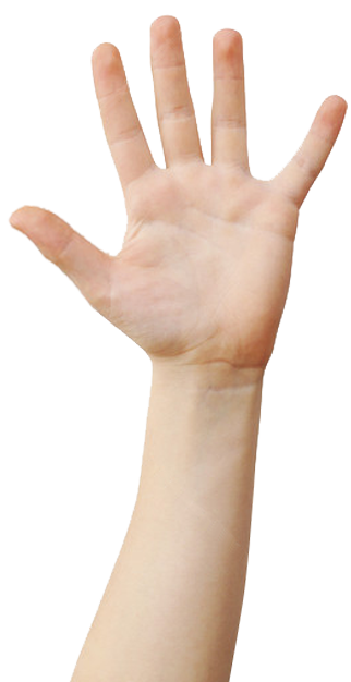 mão