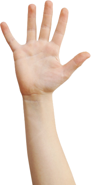 mão