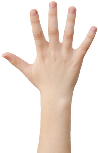 mão
