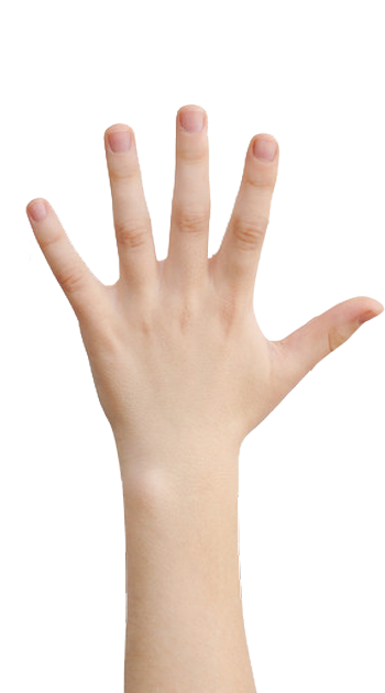 mão