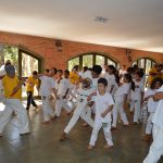 Capoeirista