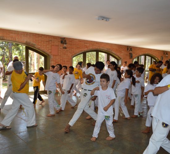 Capoeirista