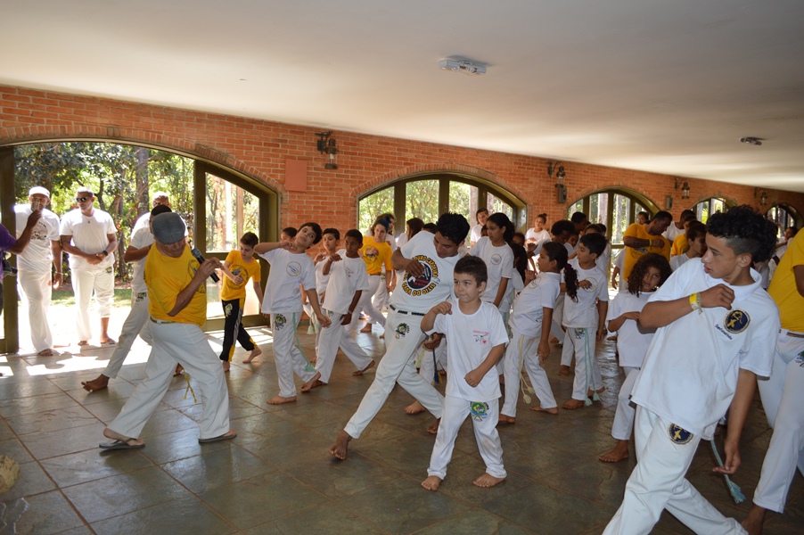 Capoeirista