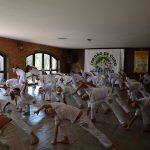 Capoeirista