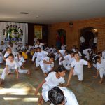 Capoeirista